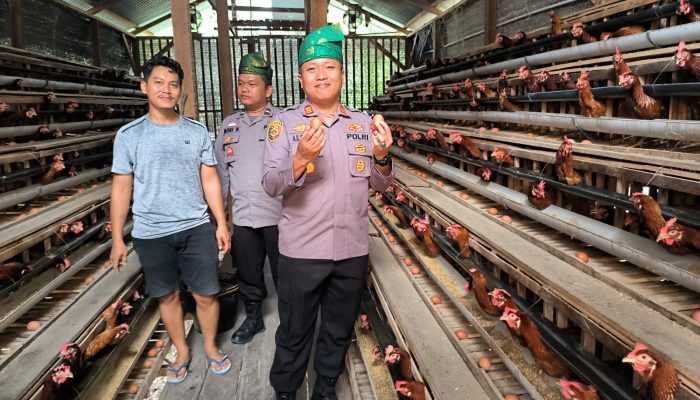 Kapolsek Kerinci Kanan Tinjau Budidaya Ayam Petelur di Kampung Delima Jaya, Dukung Ketahanan Pangan