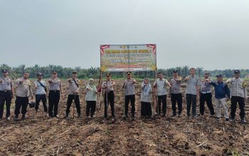 Kapolsek Siak Hulu Pimpin Penanaman Jagung Pipil Kuartal III Bersama Kelompok Tani Mandiri Desa Baru