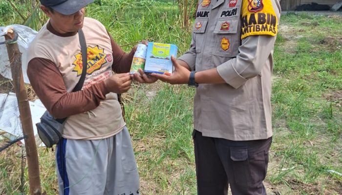 Polsek Kerinci Kanan : Bhabinkamtibmas Kampung Buatan Baru Dukung Kelompok Tani Kendalikan Hama dan Gulma Jagung