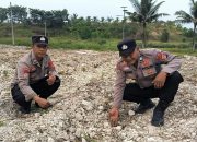 Bhabinkamtibmas Seminai Polsek Kerinci Kanan Pantau Perkembangan Jagung Pipil di Desa Binaan