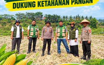 Kapolsek Kerinci Kanan dan PPL Turun Langsung, Perkuat Asta Cita Ketahanan Pangan Melalui Jagung Pipil