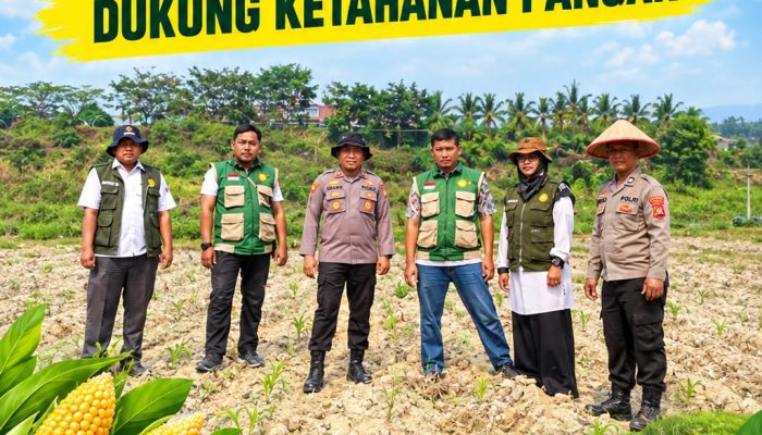 Kapolsek Kerinci Kanan dan PPL Turun Langsung, Perkuat Asta Cita Ketahanan Pangan Melalui Jagung Pipil