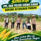 Kapolsek Kerinci Kanan dan PPL Turun Langsung, Perkuat Asta Cita Ketahanan Pangan Melalui Jagung Pipil