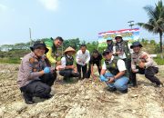 PPL Kerinci Kanan Apresiasi Polsek, Dukung Sukseskan Asta Cita Presiden Lewat Penanaman Jagung Pipil Kuartal III 2026