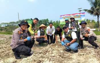 PPL Kerinci Kanan Apresiasi Polsek, Dukung Sukseskan Asta Cita Presiden Lewat Penanaman Jagung Pipil Kuartal III 2026