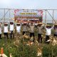 Panen Raya Jagung Pipil 8 Ton di Pangkalan Baru, Polsek Siak Hulu dan KOPPSA M Dukung Ketahanan Pangan